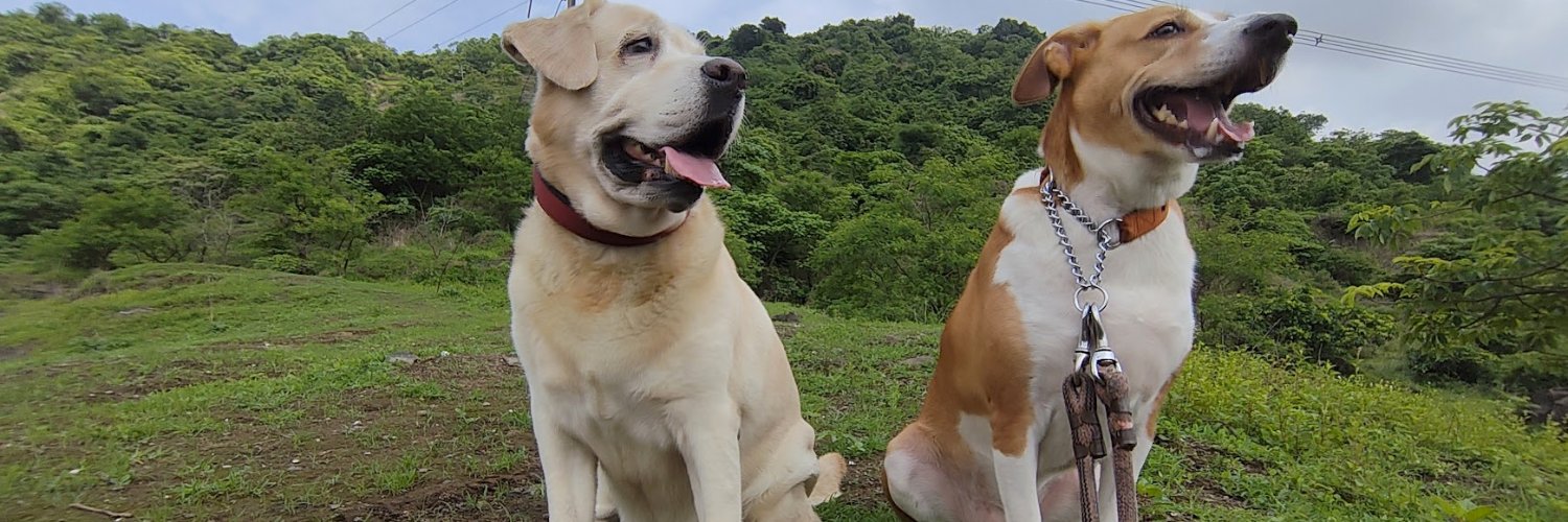 1Archis's profile banner image