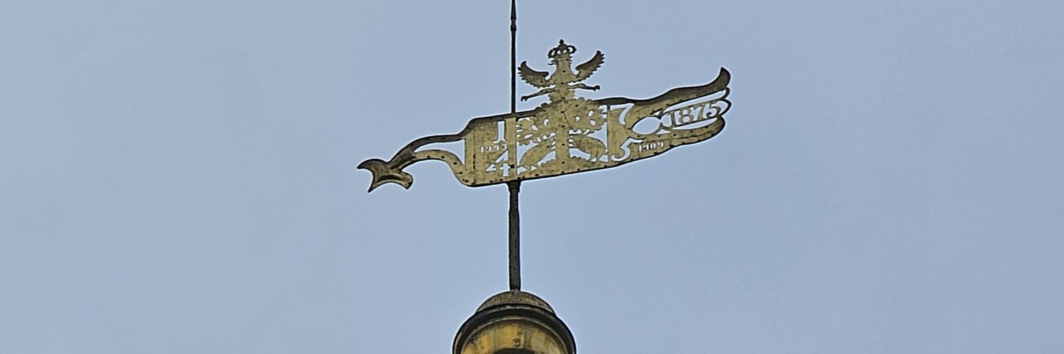 Nubeera's profile banner image