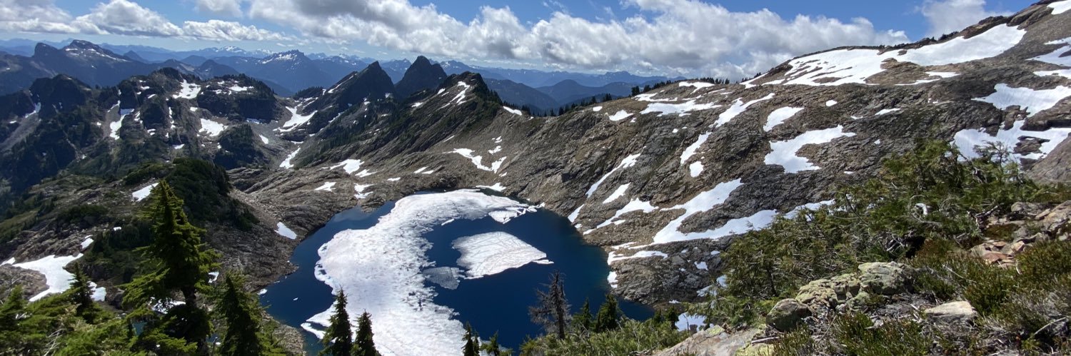 Carly Kovacik banner