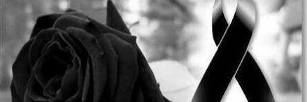 er_lupas's profile banner image
