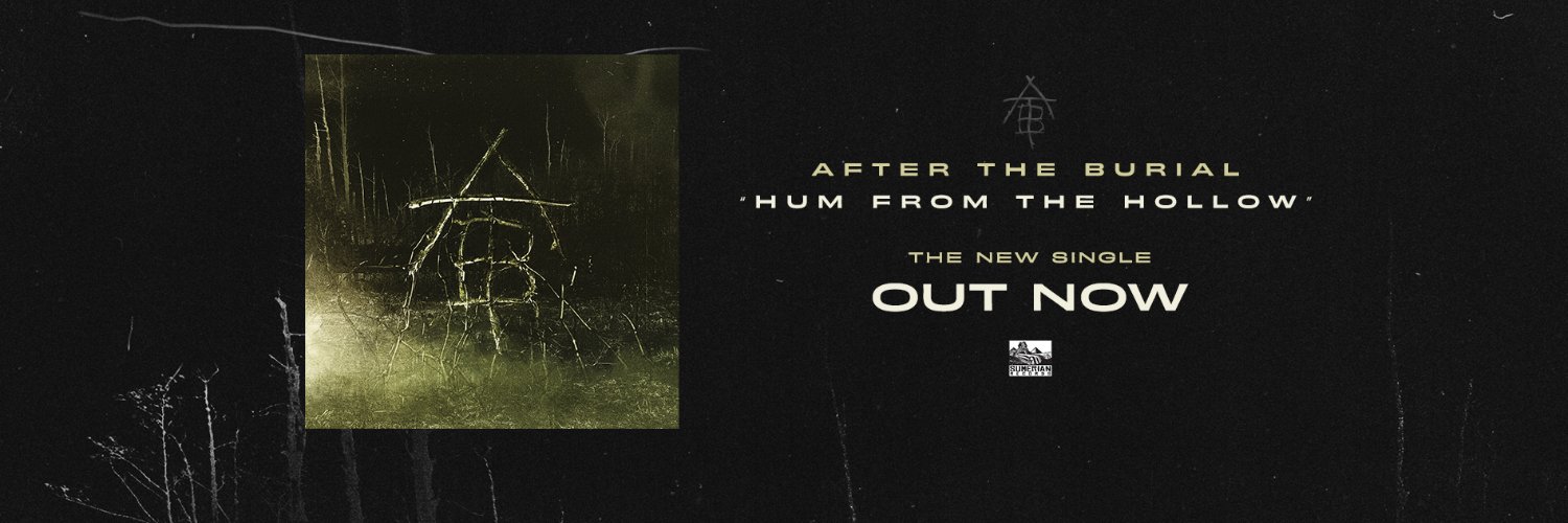 After The Burial's banner