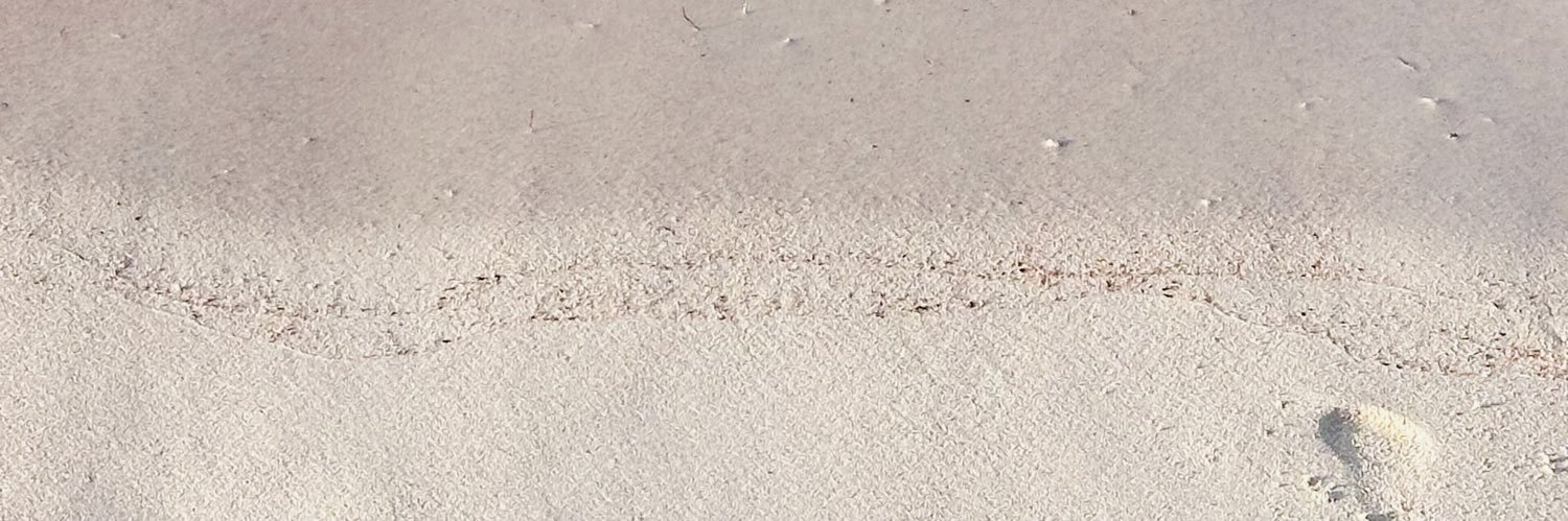SarahJenxx's profile banner image