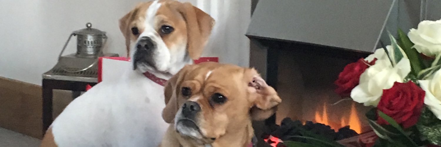 Suzi Roderick banner