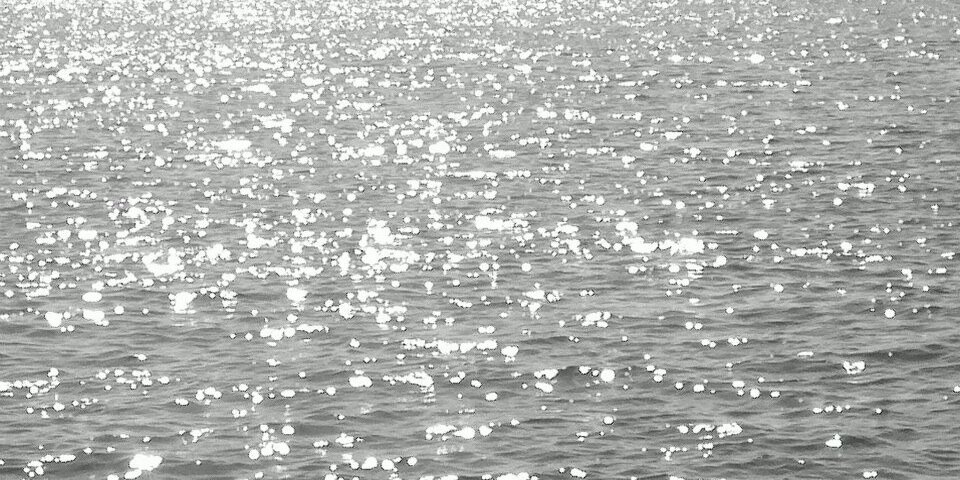 gnelson888's profile banner image