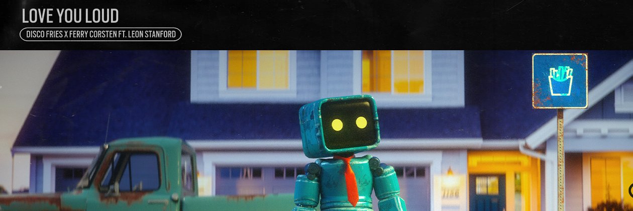 DiSCO FRiES🍟 banner
