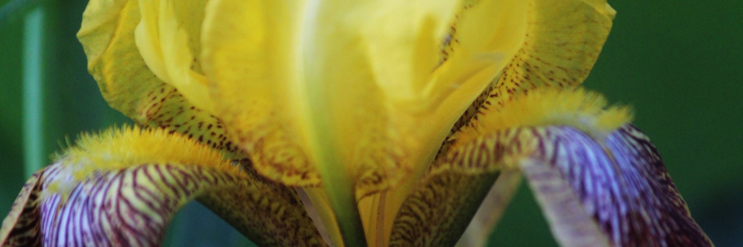 Christine10967's profile banner image