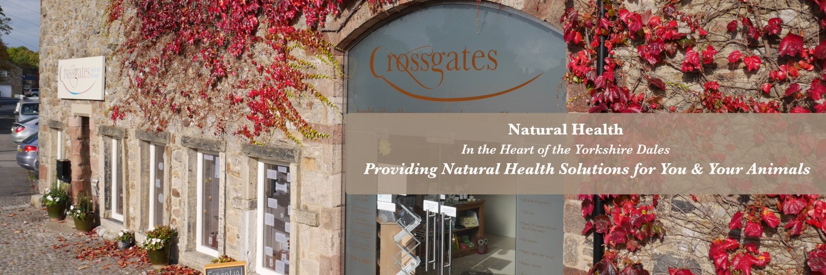 Cgatesbio's profile banner image