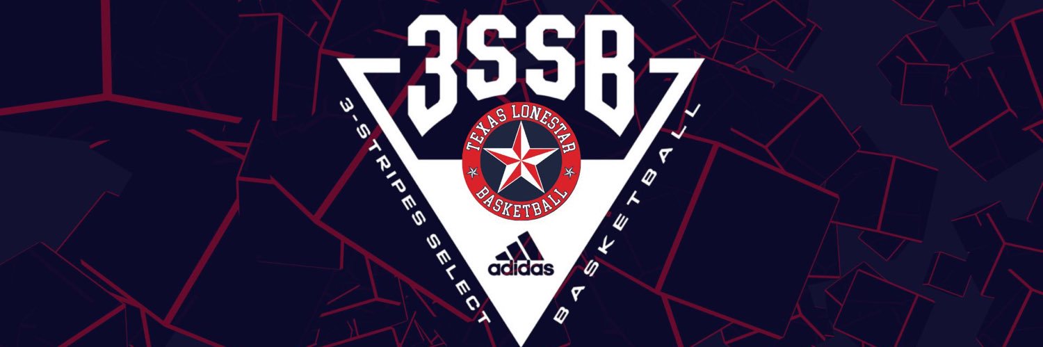 Texas LoneStar banner