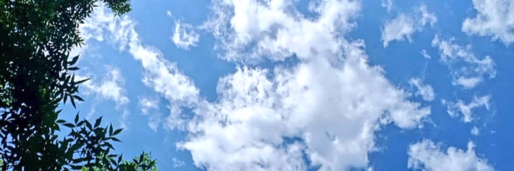 Sweiira's profile banner image