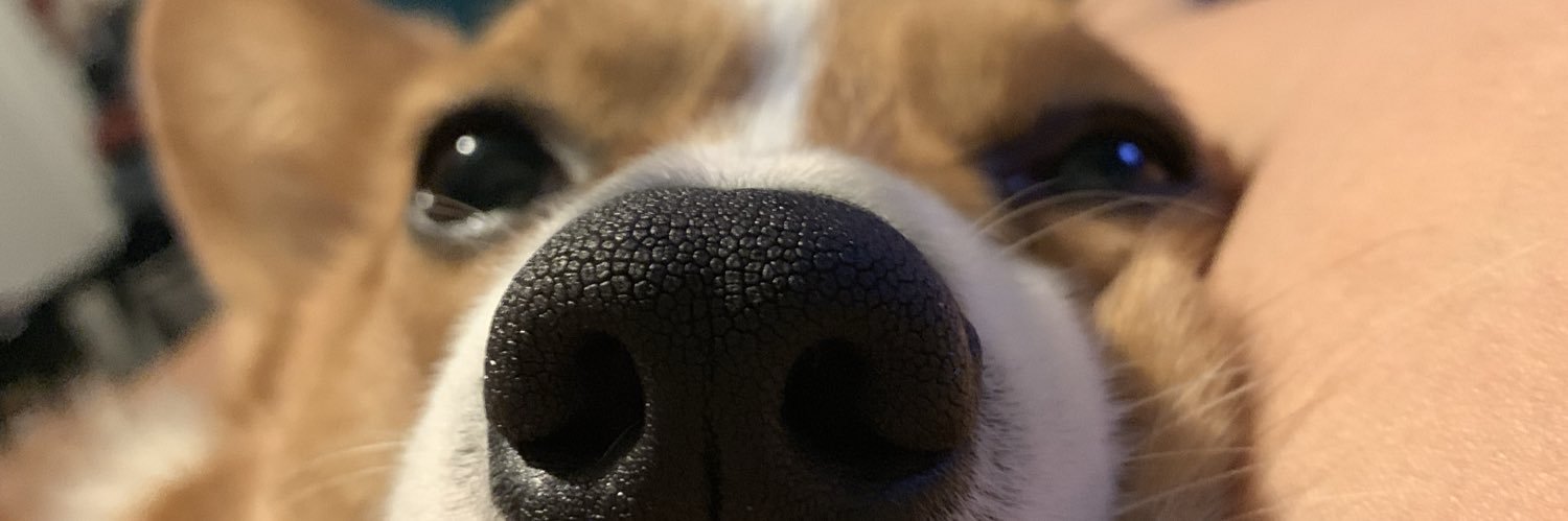 MiszNguyen104's profile banner image