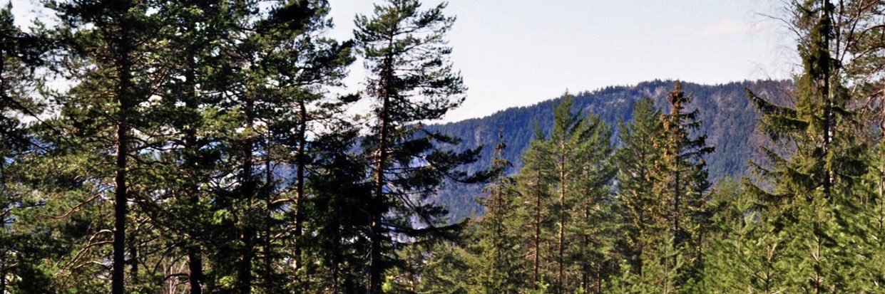 drisswill's profile banner image