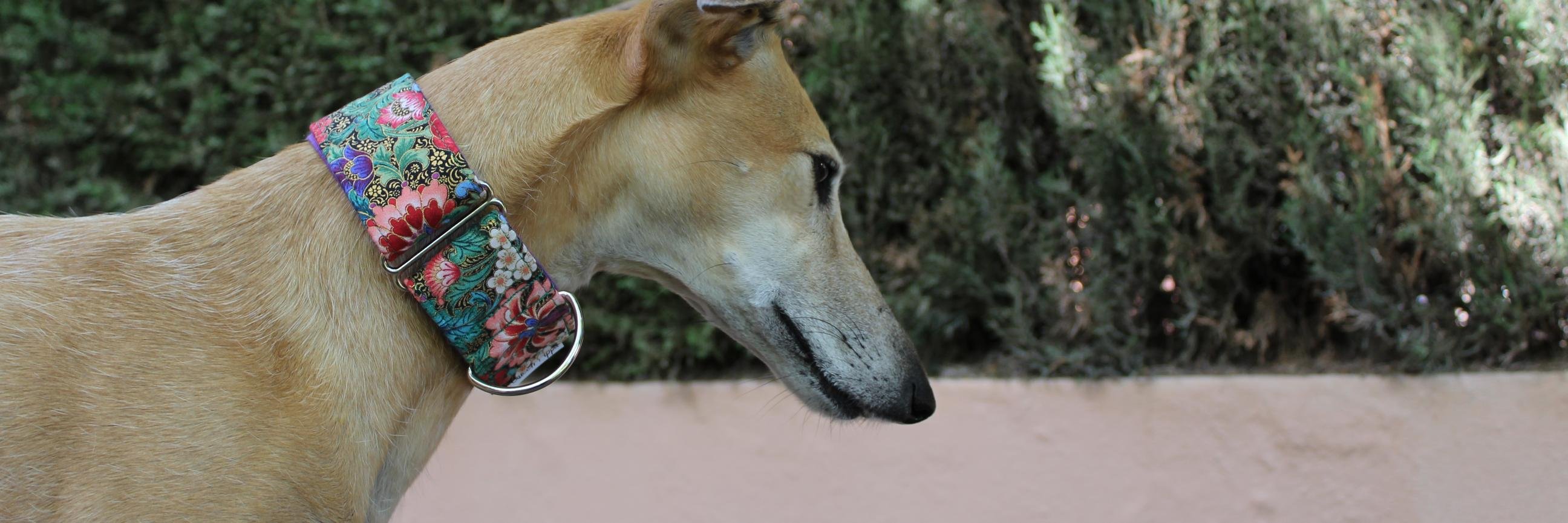 QueenPippa's profile banner image