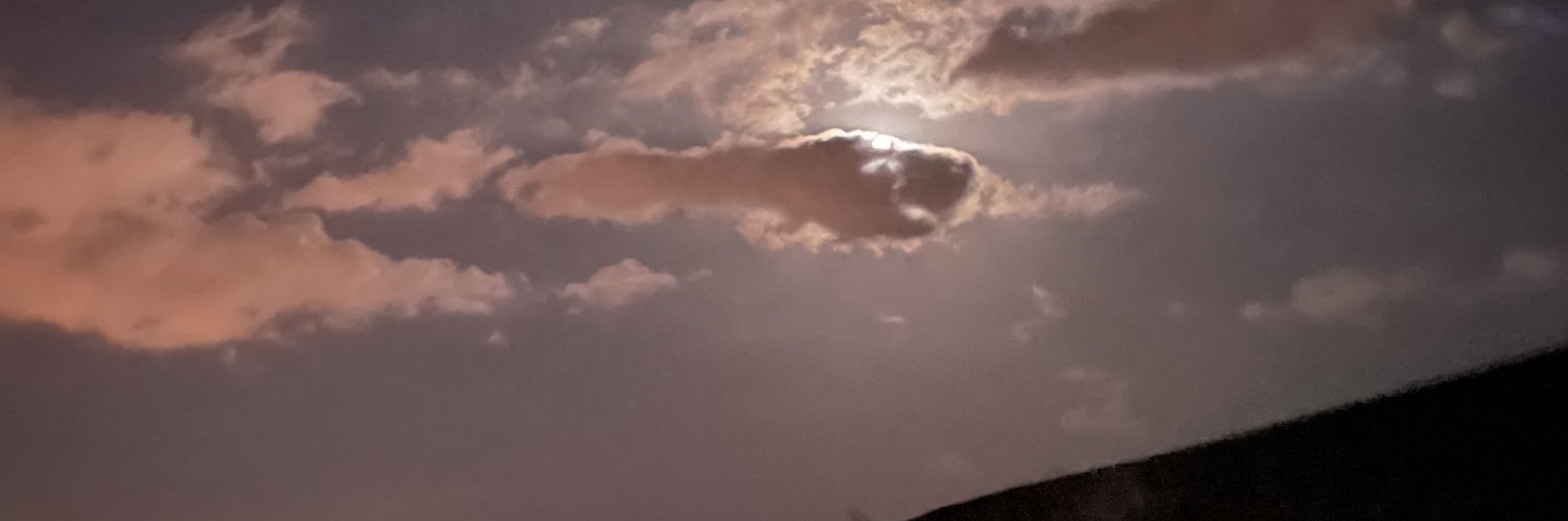 nrtay's profile banner image