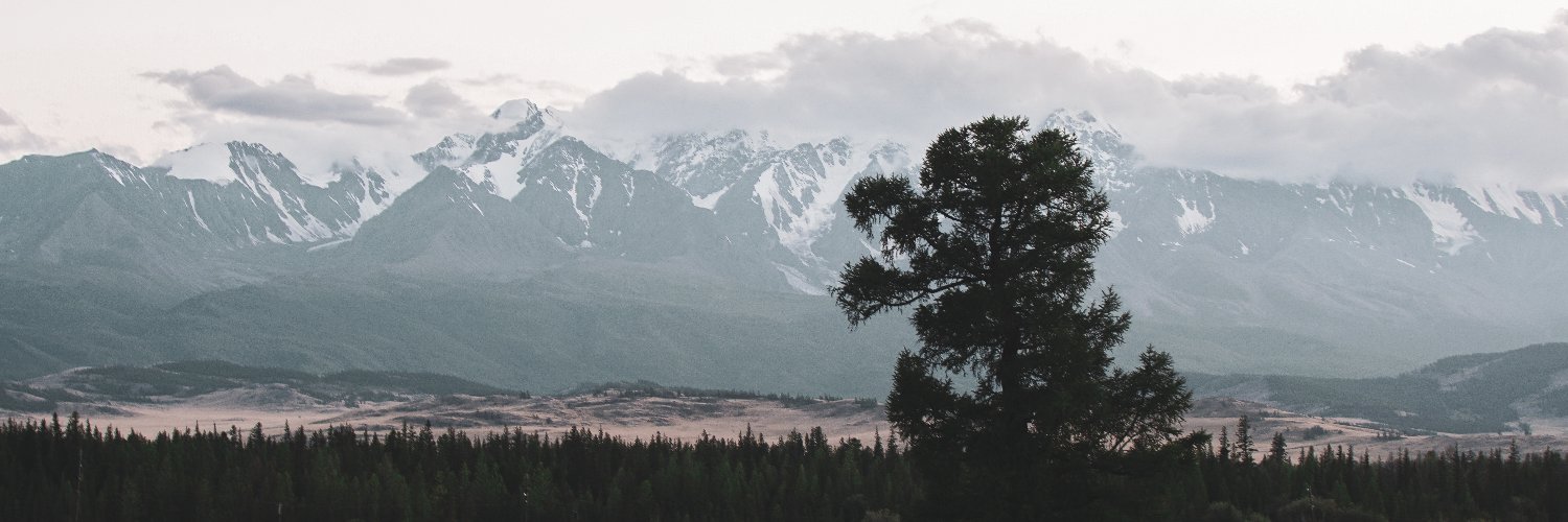 camimindlin's profile banner image