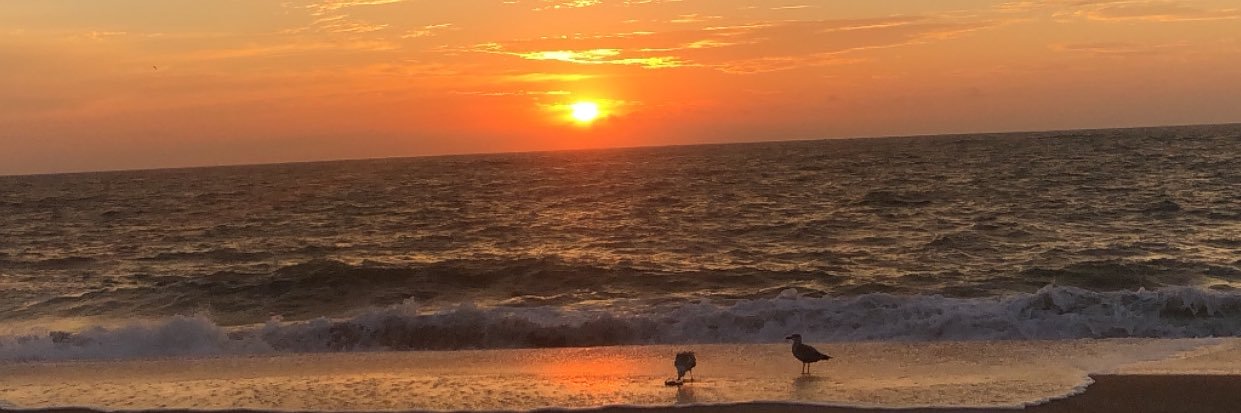 madisonboyd_4's profile banner image