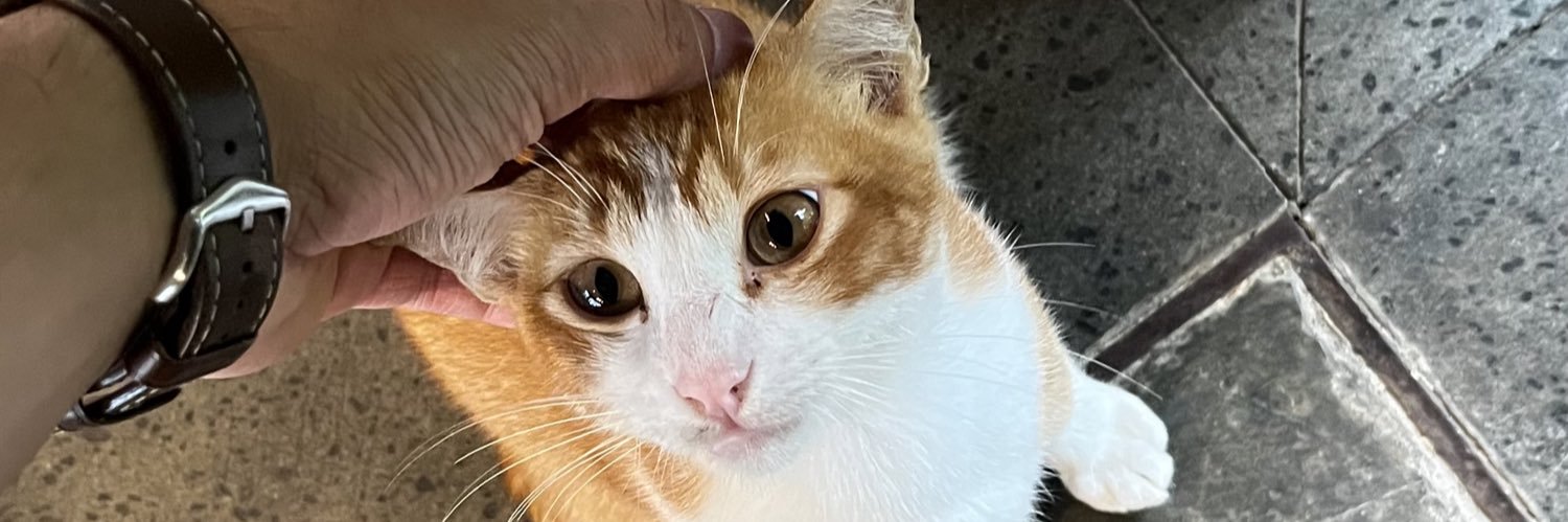 0dopamine's profile banner image
