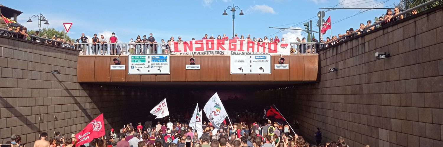 Pallinov banner