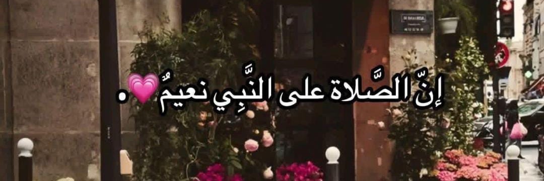 moaz_ebrahim's profile banner image