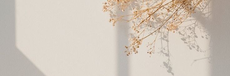 aranyhidd_'s profile banner image