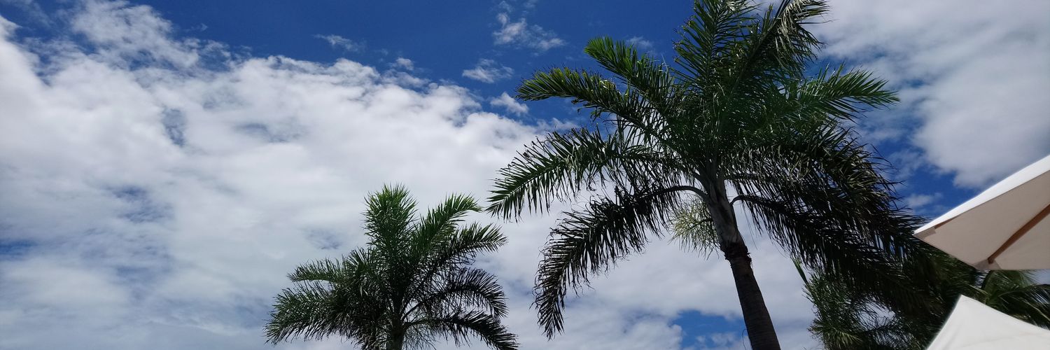 brunoduarte's profile banner image