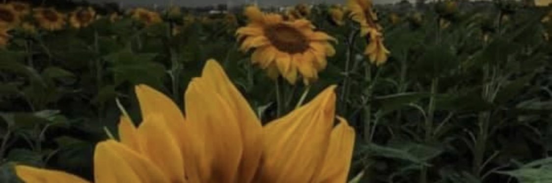jassxb's profile banner image