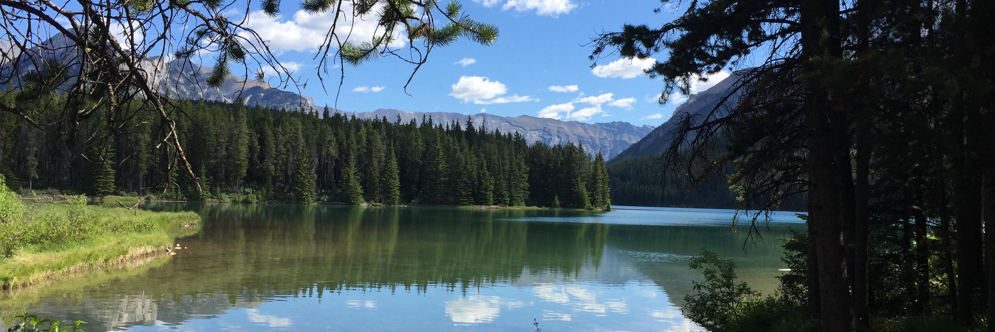 Scott Crowson banner