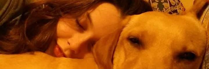 geoafournier's profile banner image