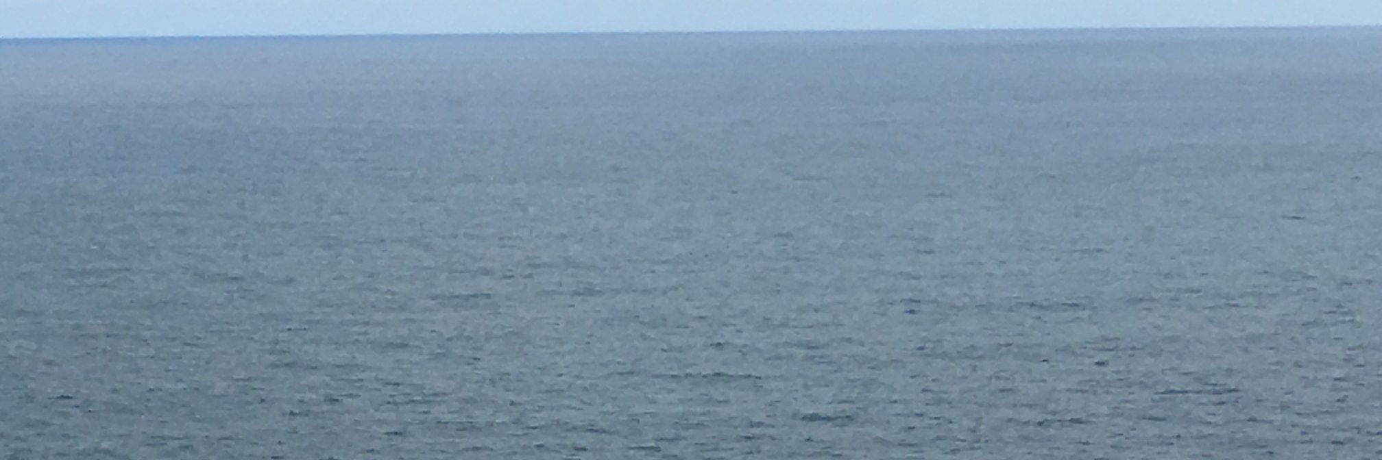 Javier Ordóñez banner