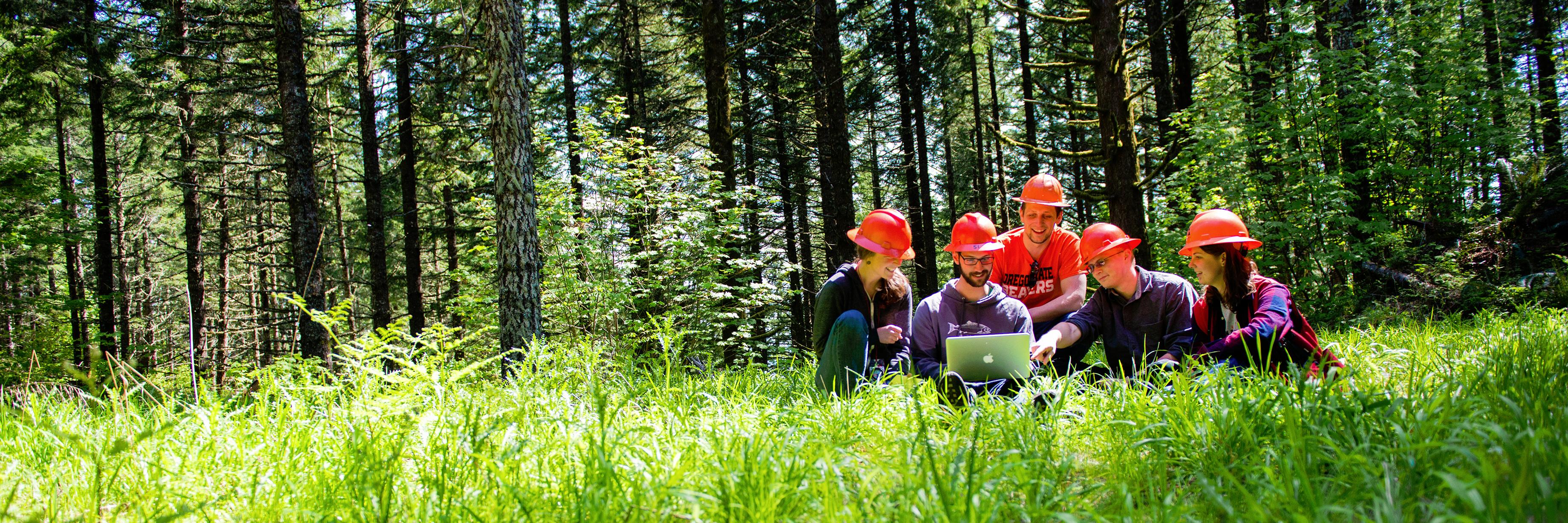ForestryResearch OSU banner