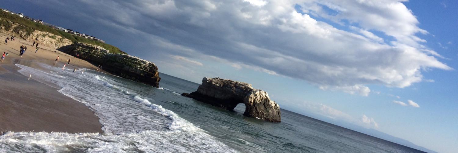 Erin Bradfield banner