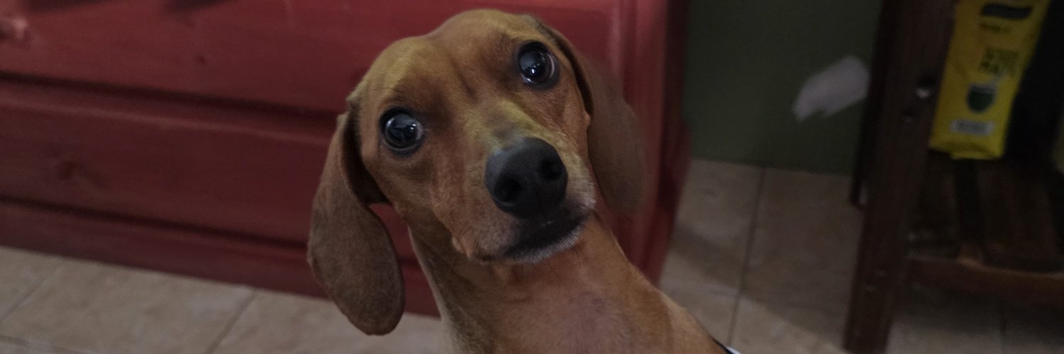 Valeeportillo's profile banner image