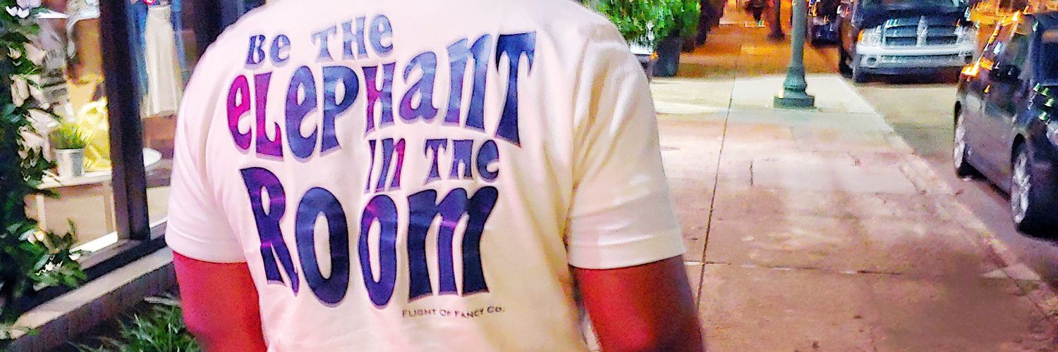 FlightOfFancyCo's profile banner image