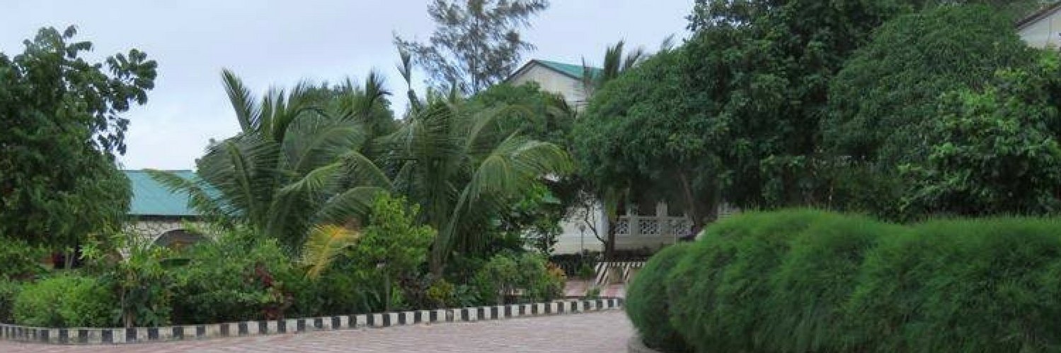 nadaara2's profile banner image