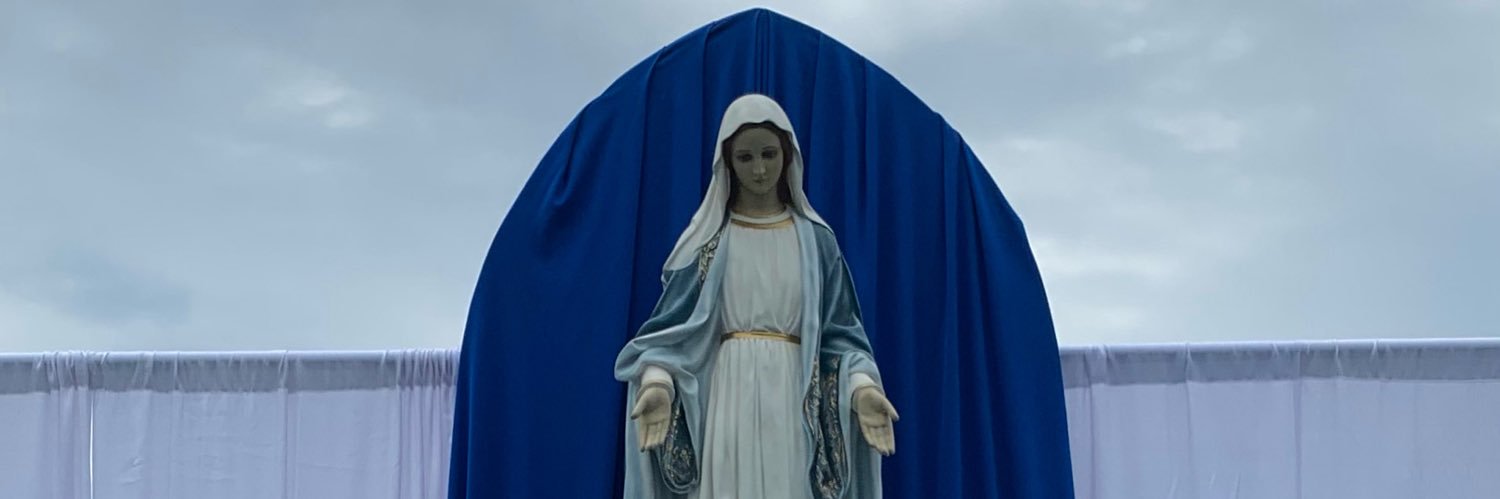 Detroit Catholic Central Alumni banner