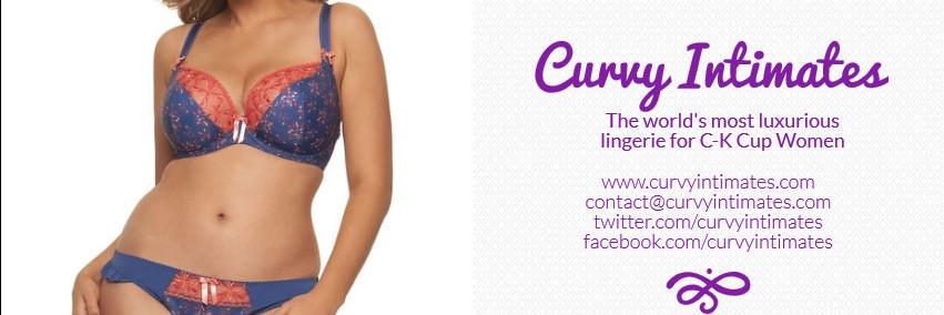 curvyintimates's profile banner image