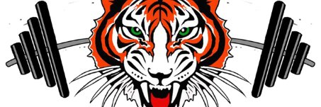 Tiger Strength banner