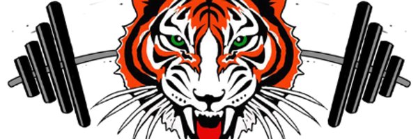 ROTigerStrength Profile Banner