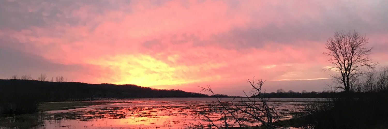 RobinsonElle59's profile banner image
