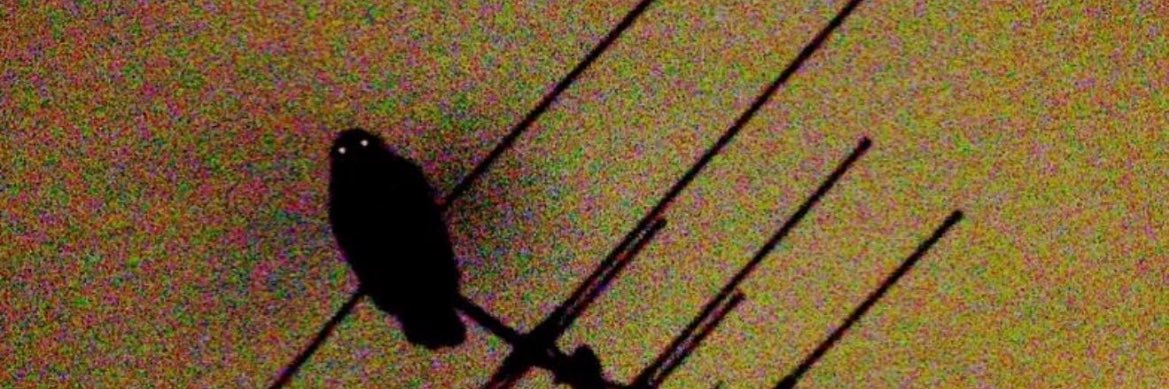 TrustedFormula's profile banner image