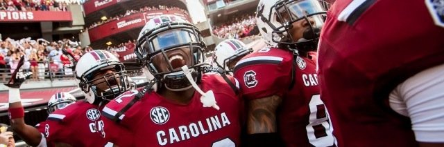 gamecocksonlin1's profile banner image