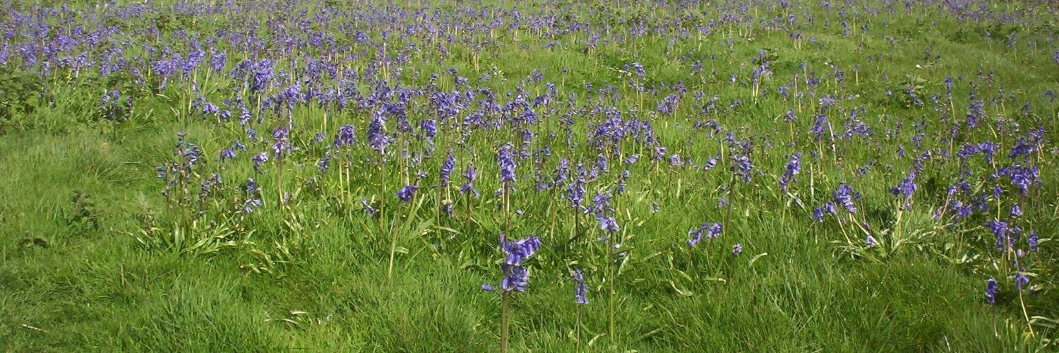 Flat Holm Island banner