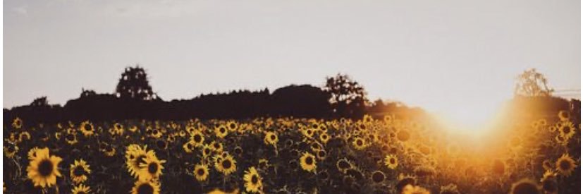 Aly1793's profile banner image