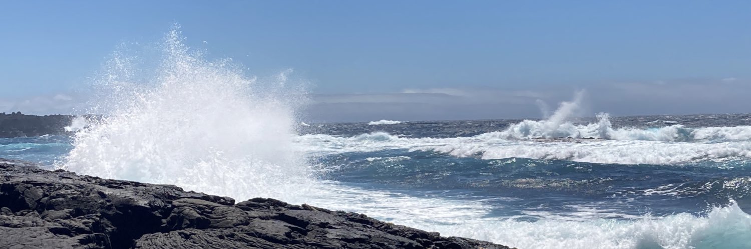 Andrea Lathan banner