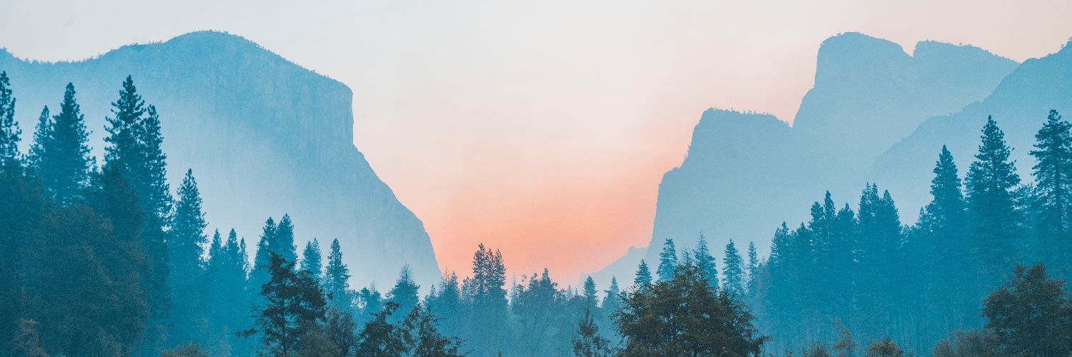 Meghan Howard ☕️ banner