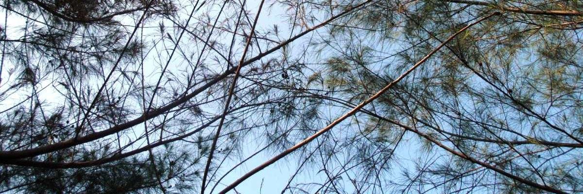antonshere's profile banner image