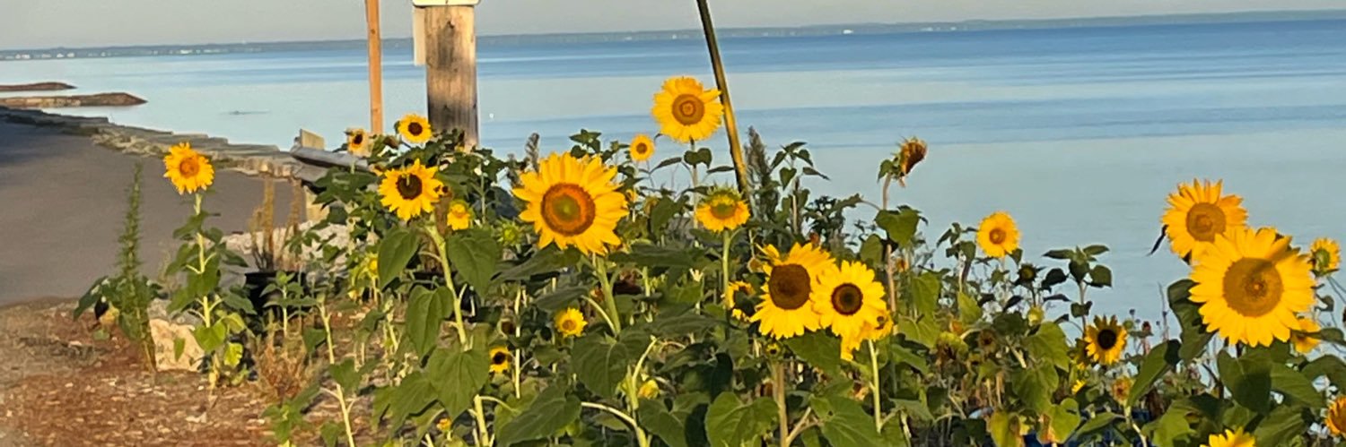 Adrienne Kolotylo 🌻 banner