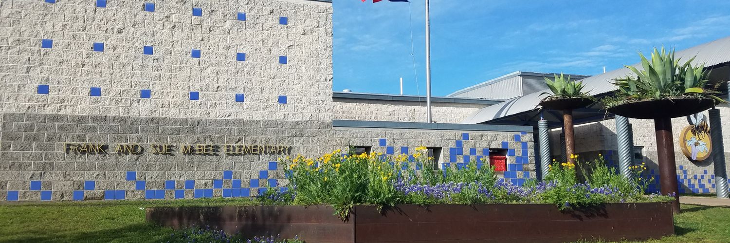 ElementaryMcbee's profile banner image