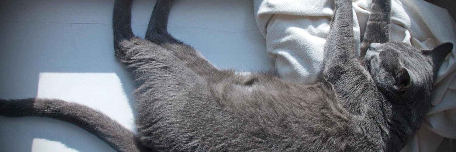 kotton_pl's profile banner image