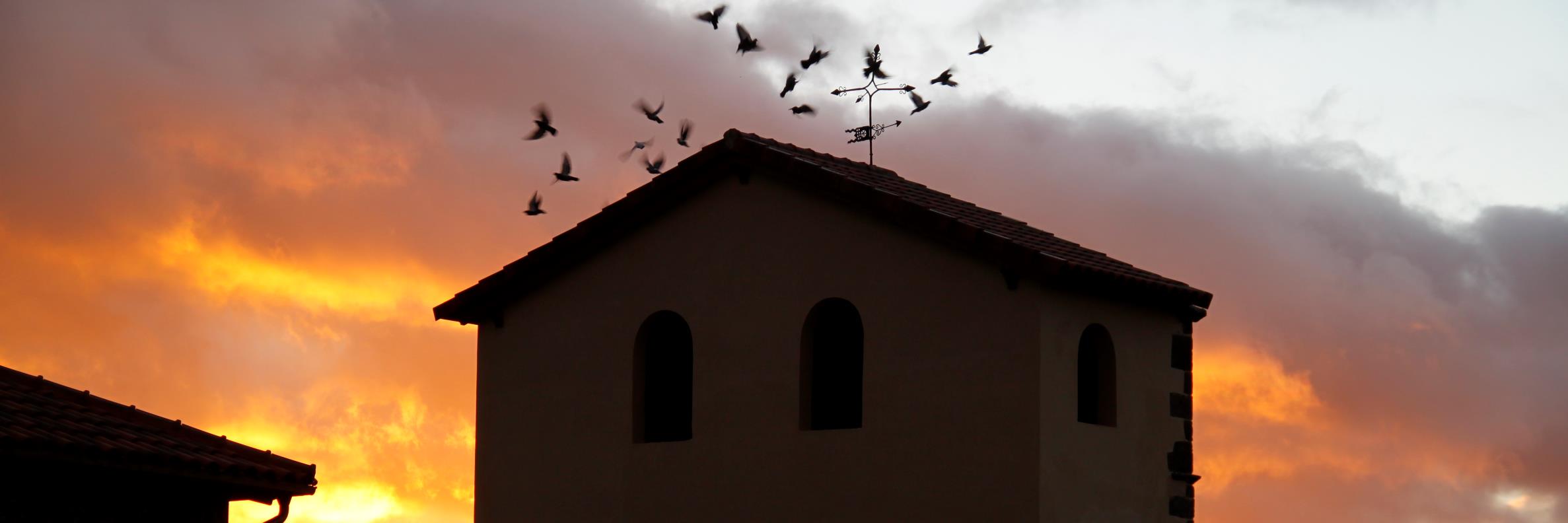 🌾Yolanda Jimenez banner