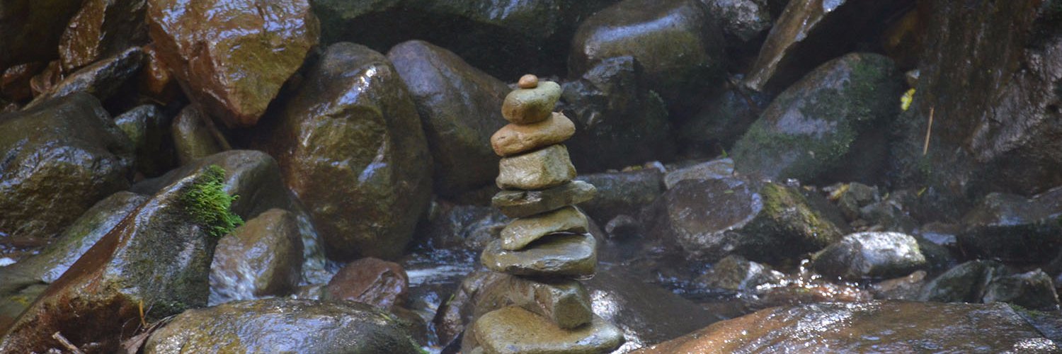 Steve Dobberowsky banner